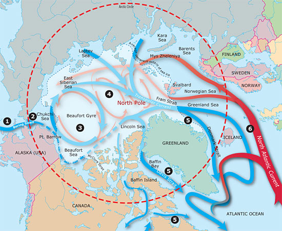 arctic current