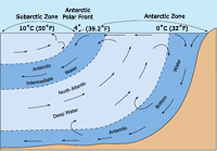 antarctic circulation