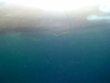 An ROV "flies" past the camera underwater.